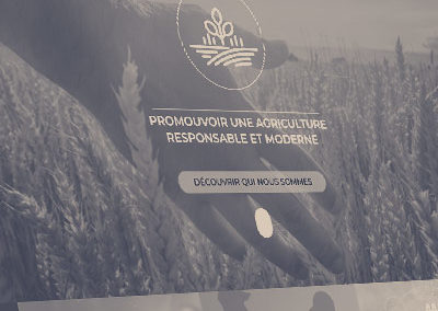 UNÉAL – site internet